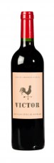 castillon victor